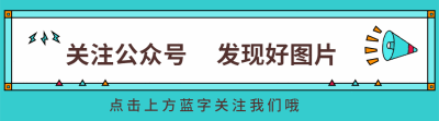 开元包含开发者社区动态显示,NFT技术升级引关注的词条